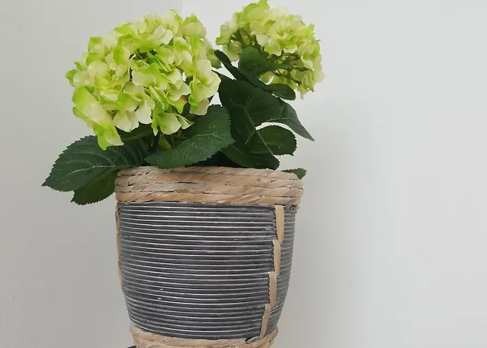 Apartma Sebastjan Near Terme Paradiso